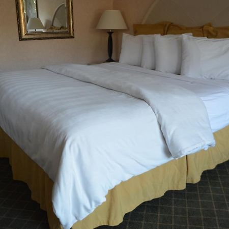 Chapel Hill University Inn Εξωτερικό φωτογραφία