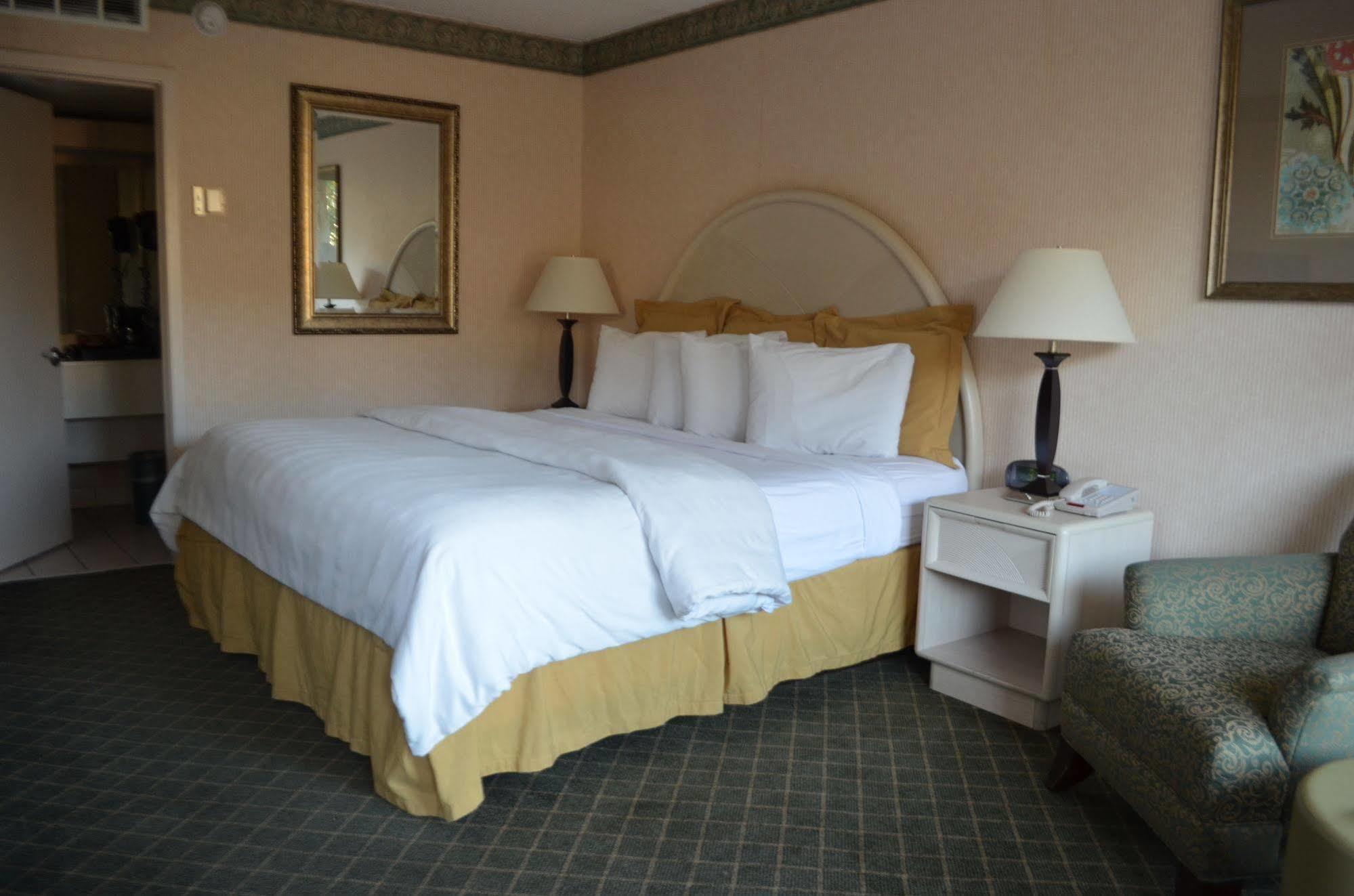 Chapel Hill University Inn Εξωτερικό φωτογραφία
